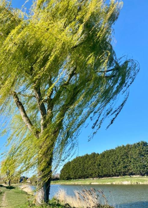Maison De Pecheur 滨海图维列 外观 照片